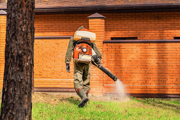 Trusted Cockroach Control service in Galena Park, TX - Nex Pest Control
